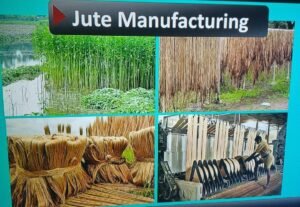 WhatsApp Image 2026-03-17 at 1.48.42 PM