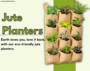 WhatsApp Image 2026-03-17 at 1.54.13 PM